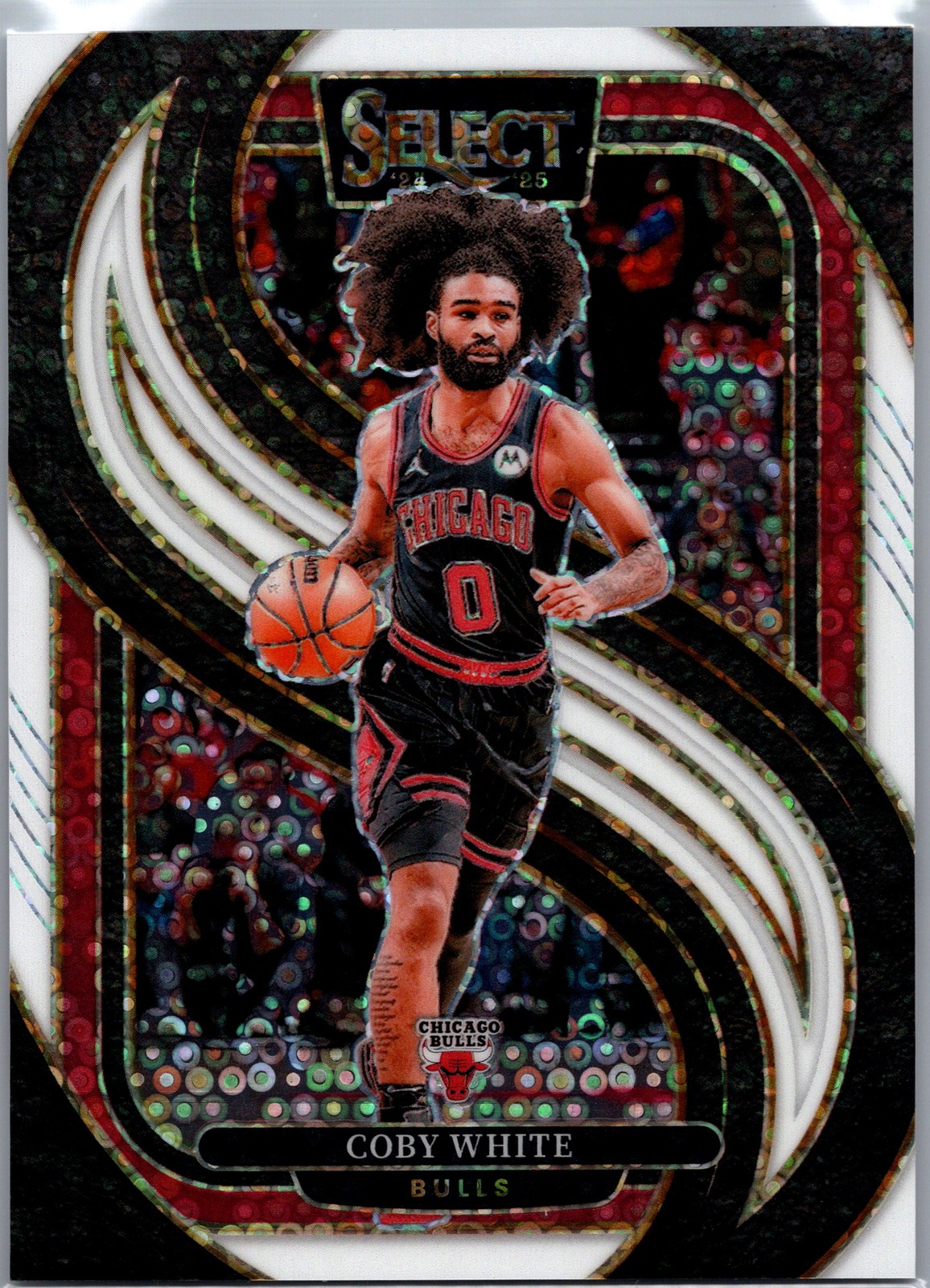 Coby White 2024-25 Panini Select White Disco #/75 Bulls Hornets #126