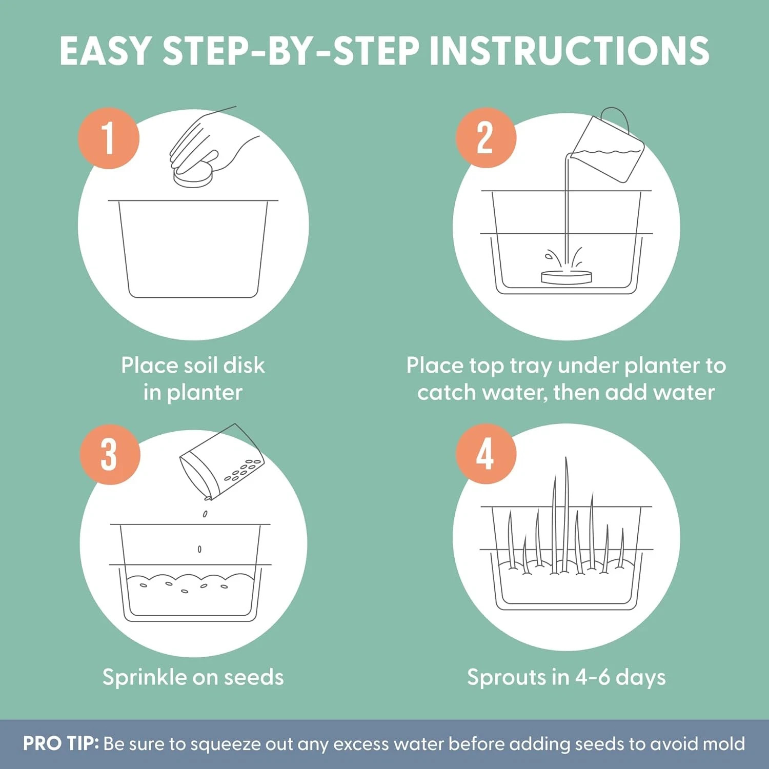 The Cat Ladies Cat Grass for Indoor Cats - Growing Kit - Organic Cat Grass Seeds