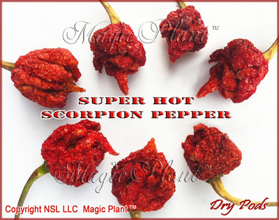 Dried Trinidad Scorpion Whole Pods 1KG (2.2LB) | Dry Scorpion Pepper Butch T