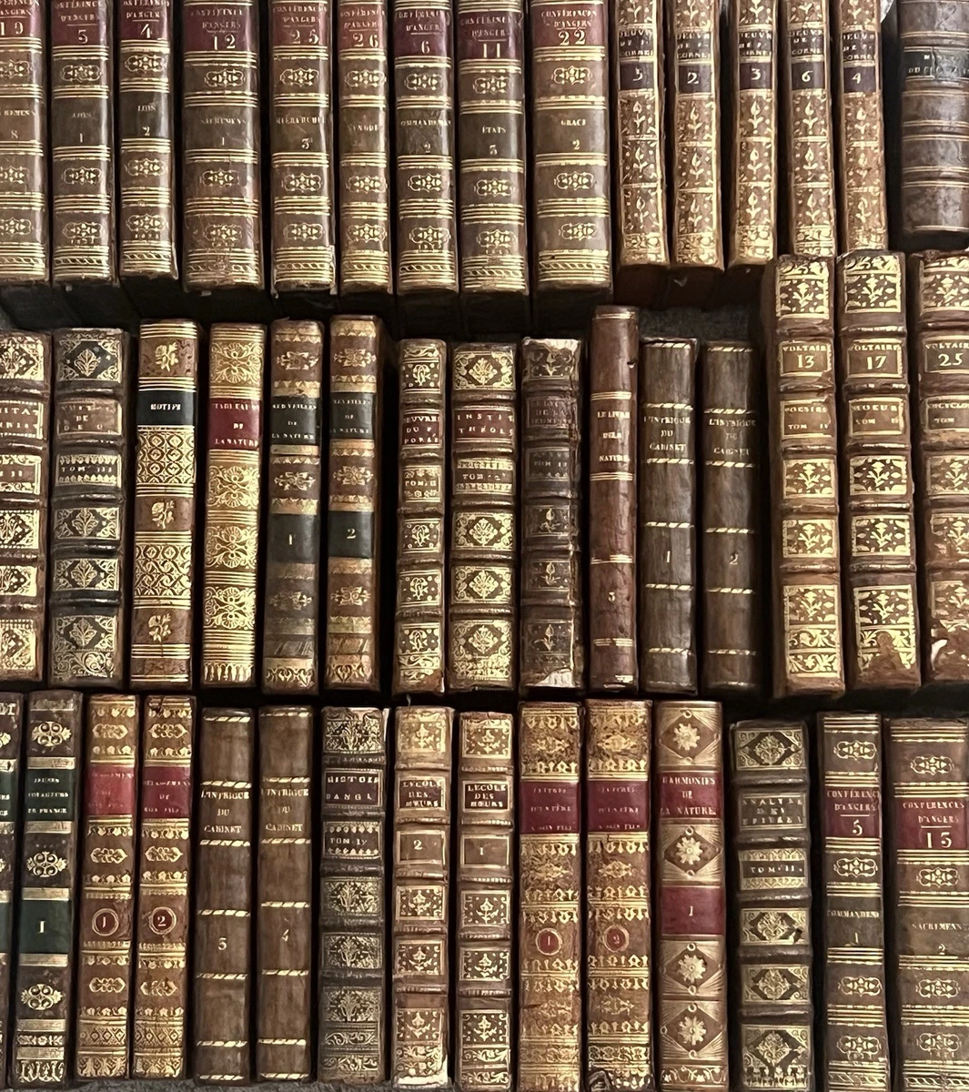 1800年代 フランス　大判帳簿１冊　a306 Preços baixos em Livros de antiquário e colecionáveis Europeu de