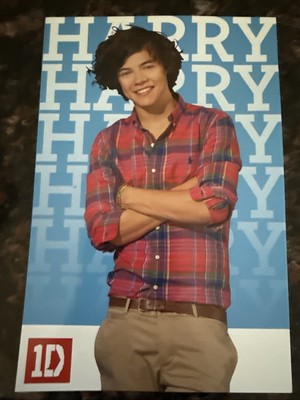 ONE DIRECTION 2012 Panini Global 4x6 Photocards / Photoprints - #2 Harry - 1D