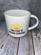 Coffee Mug Cup White Ceramic - 12oz I am a Ray of Fudging Sunshine Hot Chocolate