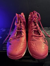 Erlana Larkins Signed Basketball Shoes – WNBA Indiana Fever Game Worn Autograph