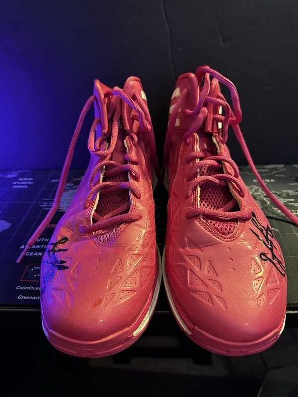 Erlana Larkins Signed Basketball Shoes – WNBA Indiana Fever Game Worn Autograph