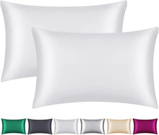 100 Mulberry Silk Pillowcase 2 Pack for Hair and Skin,with Hidden Zipper,Both S