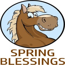 30 Custom Spring Blessings Horse Personalized Address Labels