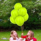 Foto 87 di 241
