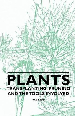 W. J. Bean Plants - Transplanting, Pruning and the Tools Involved (Taschenbuch)