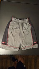 Lebron James Nike 11" Basketball Shorts Mens M Gray/Black/Red