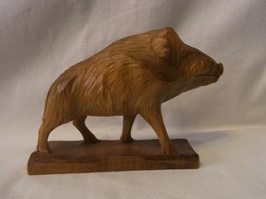 boar wildschwein schwarzwald