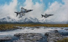 SEPECAT Jaguar 14 Squadron RAF Jet Aircraft Art Painting Print