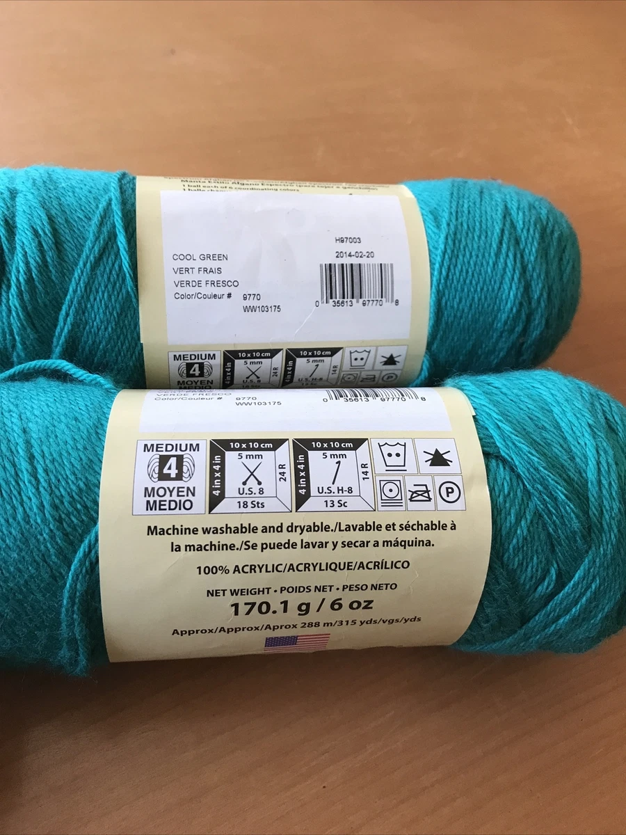 A Review Of Walmart's NEW Mainstays Yarn Brand