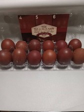 8 French black copper Maran eggs. please read description