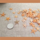Tiny Size Dried Real Starfish Flat Sea Star Ornament Crafts Decorations 25 pcs