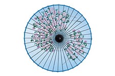 Yamamoto Bamboo Craft Shop YAMAMOTOTAKIZAYIKUYA Japanese Umbrella Silk