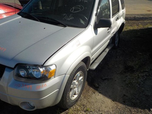 Trunk/Hatch/Tailgate Privacy Tint Glass Fits 02-07 ESCAPE 1822978