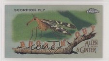 2020 Topps Allen & Ginter Chrome Mini Buggin' Out! Scorpion Fly #MBOC-9 05ti