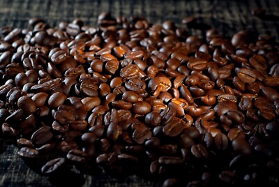 5 lbs. Nicaragua La Finca La Rubia SHG EP Medium/Dark Roast, Fresh Roasted Daily