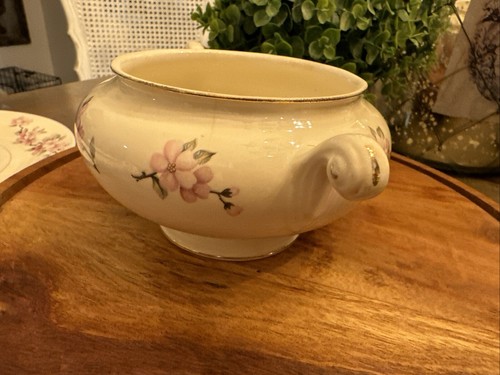 De colección Homer Laughlin China, Cáscara de Huevo Nautilus Flor de Manzano Hecho en EE. UU. - Imagen 16 de 20