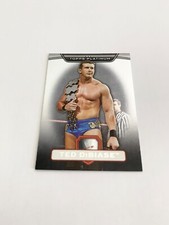 Ted DiBiase 2010 Topps Platinum WWE Base Card # 42