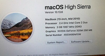 Macbook 2010 2.4 Ghz Intel Core Duo 3gb Ram Hard Drive 750 Read 
