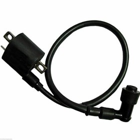 250cc QUAD ELECTRICS 150 200cc Zongshen Lifan Ducar Razor CDI COIL WIRE HARNESS