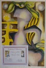Bild 8 von 8
