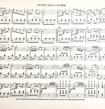 1886 Sweet Briar Polka Sheet Music Parlor Organ Victorian 11.5 x 9" Ephemera