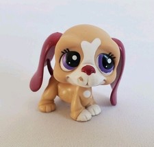 LPS Petshop Hasbro #1785 Basset Hound Dog G2 Violet Authentique Original TBE