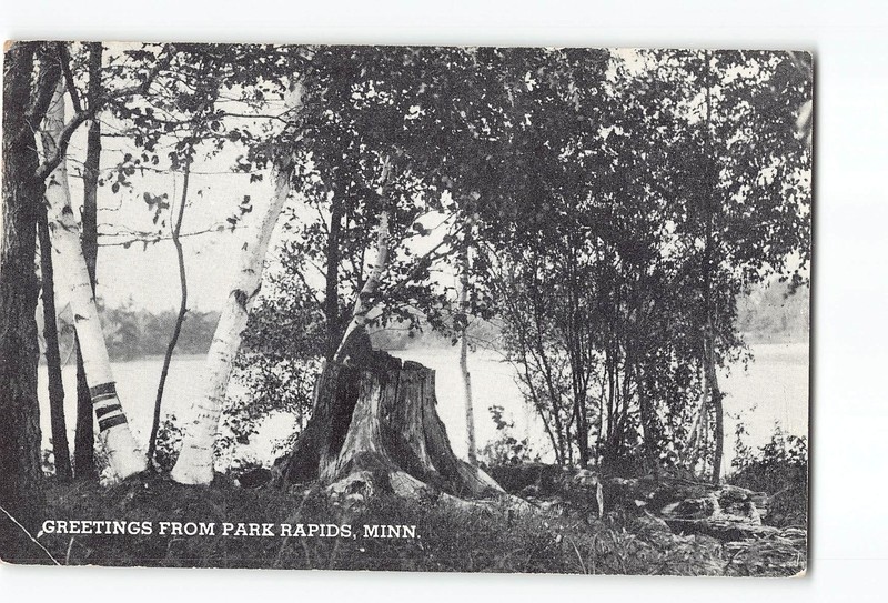 Park Rapids Minnesota MN Vintage Postcard Park Rapids Minnesota Lake Shore