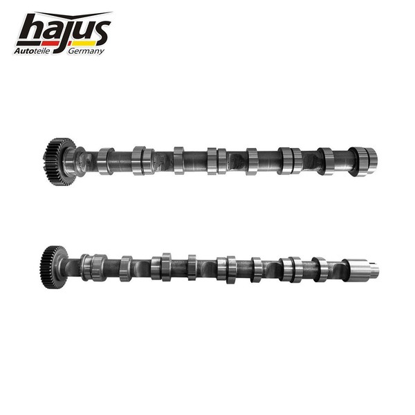 Hajus 2X Nockenwelle Einlass + Auslass Audi A4 A6 VW Golf VI Skoda Octavia Seat-image