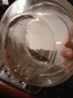 Glass Encased Shredder And Hand Grater — photo 8