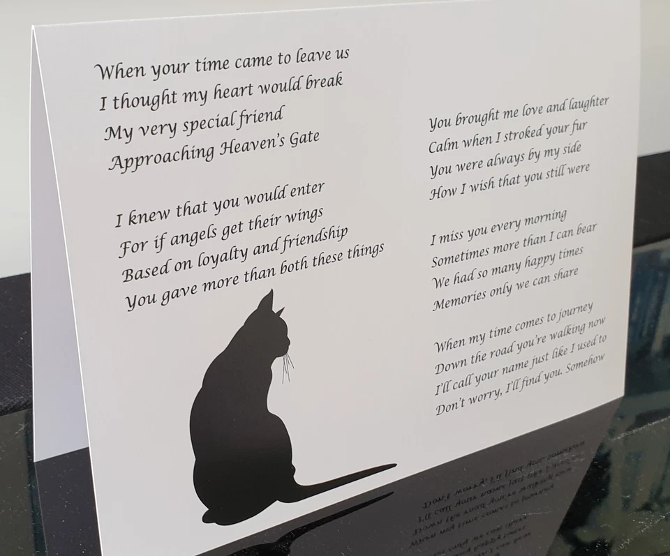 Cat Sympathy Card In Memory Of Pet Loss Condolences - Image 2 of 3