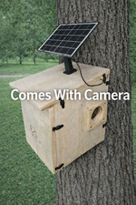 Extra Large Handmade Squirrel House with Came...