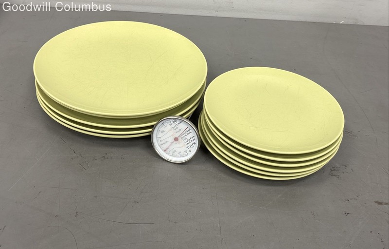 IKEA Light Green Plate Set 11pc 10.75" 8.25" Taylor 5939 Meat Thermometer