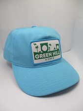 Green Hill Zone Sonic The Hedgehog Cap / Hat Adjustble Snapback Adult SEGA