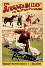 1902 Barnum & Bailey Performing Geese Rooster & Donkey Circus Poster - 24x36