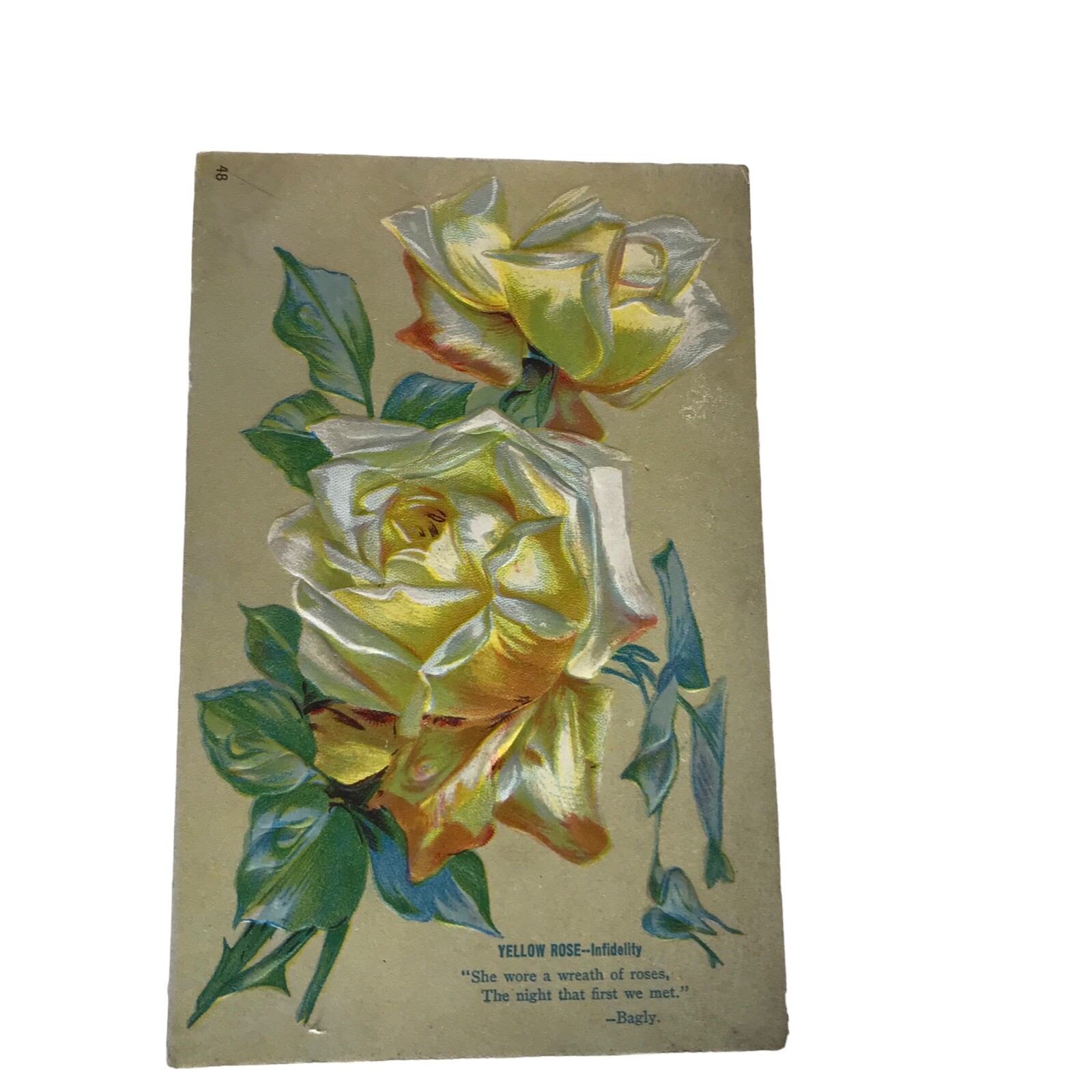 Yellow Rose Infidelity 190010S Postcard Blank She wore a wreath of