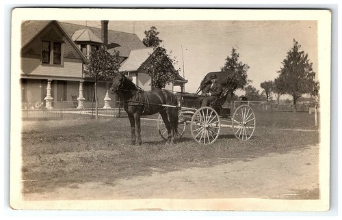 1904-18 Postcard Horse & Buggy Pose Rppc Real Photo Animal Rider - Afbeelding 1 van 2