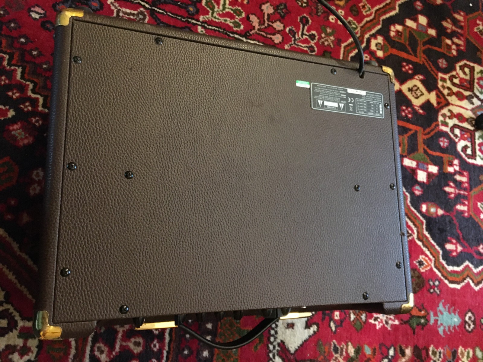 Redwood 25RC Amplifier for Vocals, Guitar + Backing track. GC. Offers