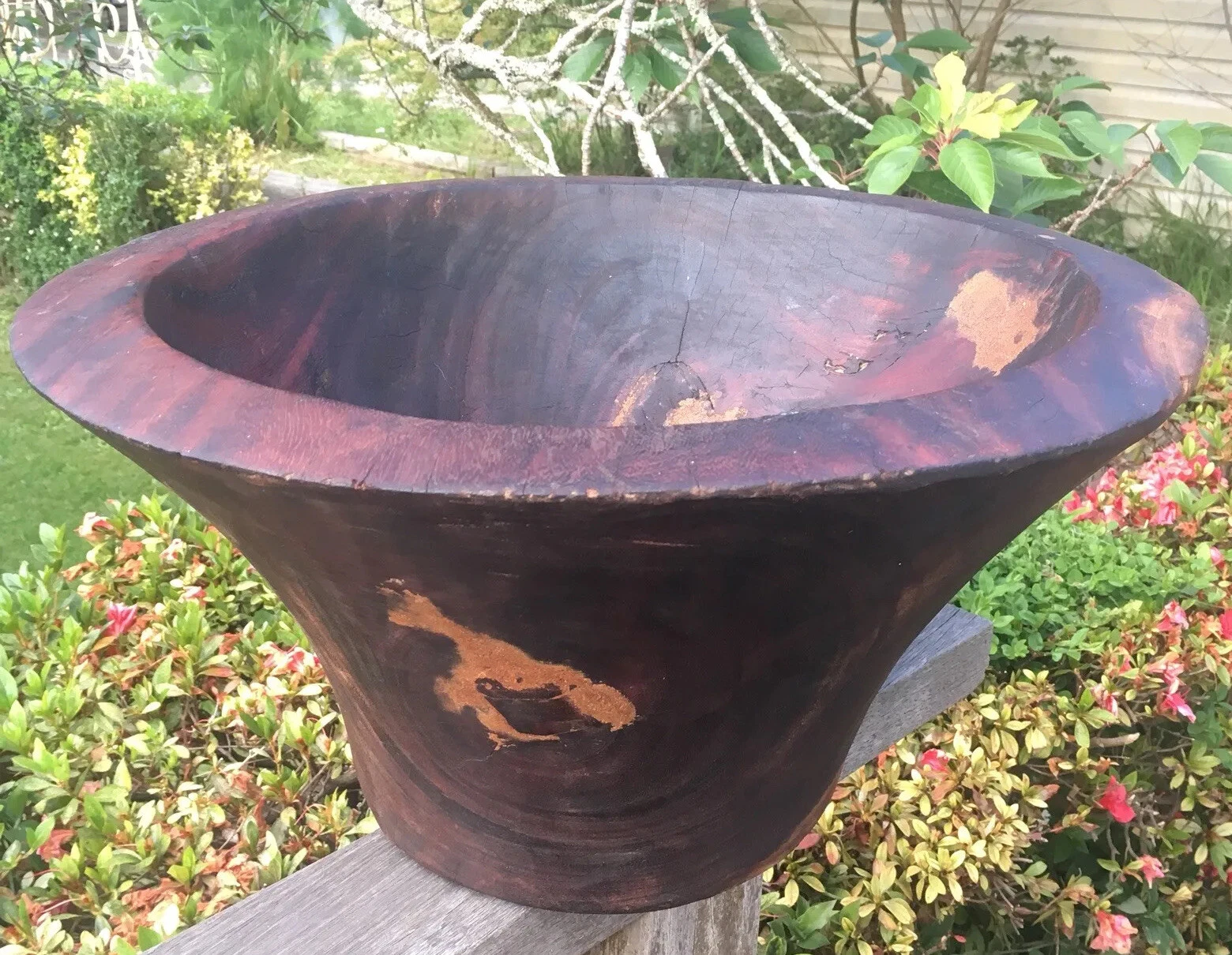 Picture 6 of 11