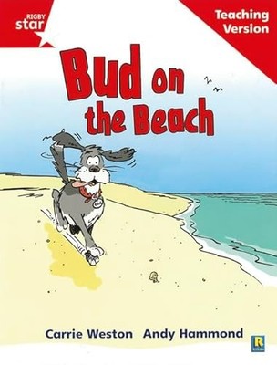 Rigby Star Phonic Guided Reading Red Level: Bud on the Beach Tea