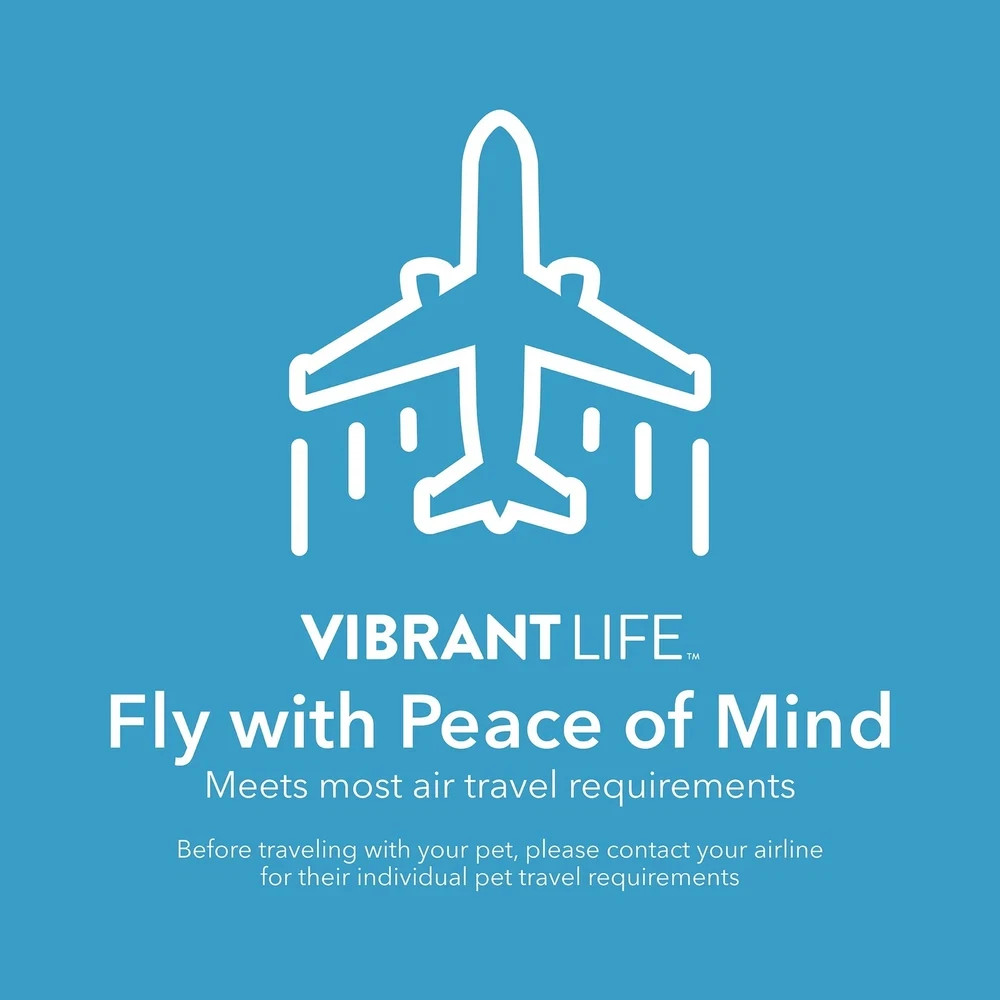 Vibrant Life Pet Portable Kennel for Dogs, Hard-Sided Travel Carrier