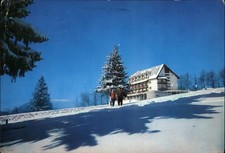 Predeal Hotel Trei Brazi vintage postcard y463