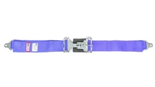 RJS Racing Equipment 3in Lap Belt Blue