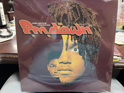PM DAWN REALITY USED TO BE A FRIEND OF MINE 12'' 1991 GEE STREET 866821 sealed