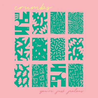 Crumbs - You're Just Jealous LP VERÖFFENTLICHUNGSDATUM 05.10.24 THIS CAN C - A11501z