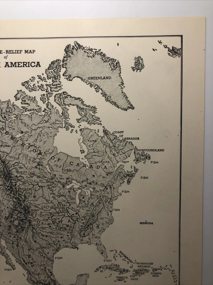 1947 Vintage AMÉRICA DO NORTE Antigo Mapa de Alívio - Atlas e Gazeta de Hammond - Imagem 3 de 4