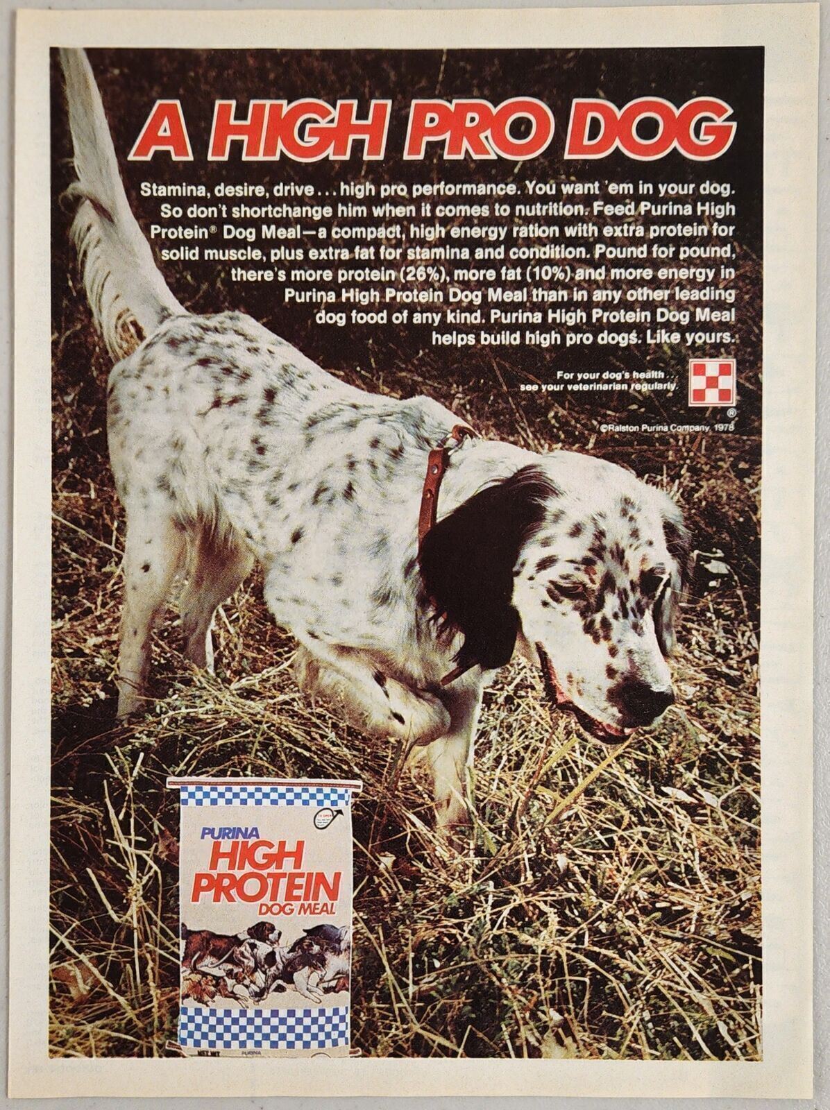 Hunting Dog Pointing Ralston Co.