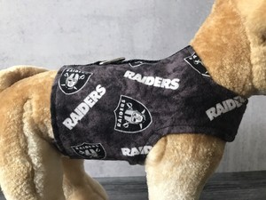 raiders dog clothes